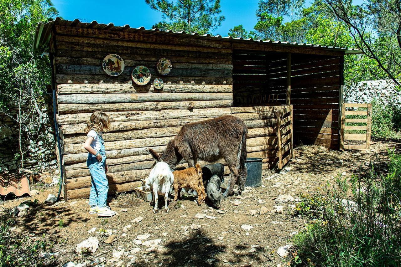 Casal Das Fontainhas Alcobaça Esterno foto